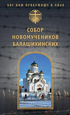Array игумен Дамаскин (Орловский) Собор новомучеников Балашихинских обложка книги