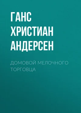 Ганс Андерсен Домовой мелочного торговца обложка книги