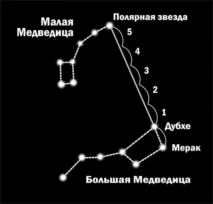 Отсчитайте пять расстояний между двумя звездами образующими переднюю стенку - фото 18