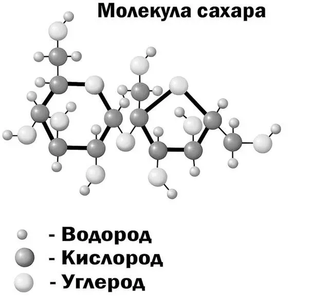Молекула сахара друзья мои Довольно сложная конструкция не правда ли Ах - фото 21