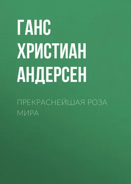 Ганс Андерсен Прекраснейшая роза мира обложка книги