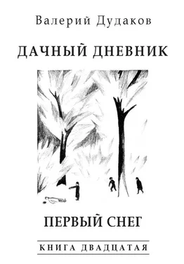 Валерий Дудаков Дачный дневник. Первый снег обложка книги