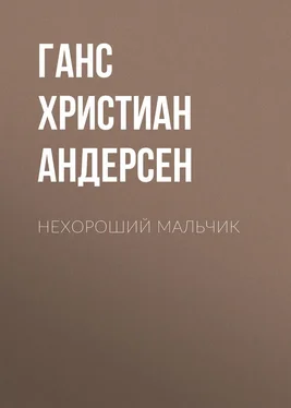 Ганс Андерсен Нехороший мальчик обложка книги