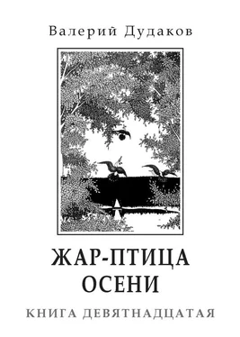Валерий Дудаков Жар-птица осени обложка книги