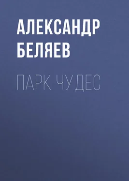 Александр Беляев Парк чудес обложка книги