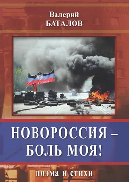 Валерий Баталов Новороссия – боль моя! Поэма и стихи обложка книги