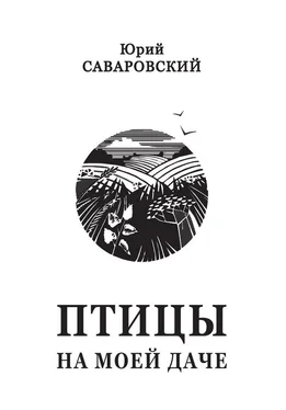 Юрий Саваровский Птицы на моей даче (сборник) обложка книги