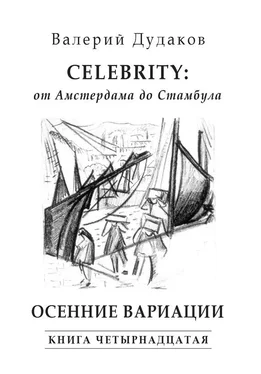 Валерий Дудаков Celebrity: от Амстердама до Стамбула. Осенние вариации обложка книги