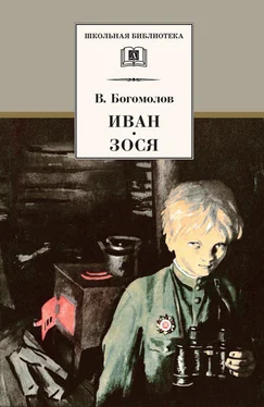 Владимир Богомолов Иван. Зося (сборник) обложка книги