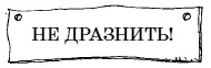 Странная процессия остановилась перед домом Алисы Дракон со вздохом улегся на - фото 9