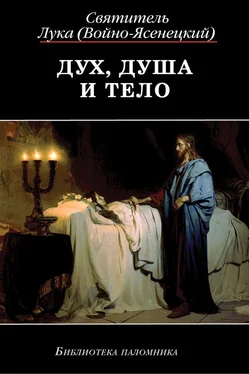 Святитель Лука Крымский (Войно-Ясенецкий) Дух, Душа и Тело обложка книги