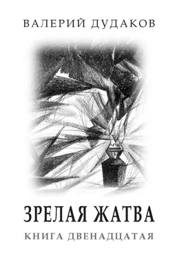 Валерий Дудаков Зрелая жатва обложка книги