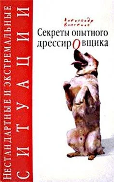 Александр Власенко Цыганская дрессировка обложка книги