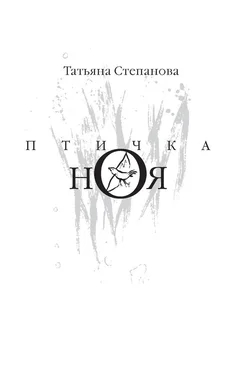 Татьяна Степанова Птичка Ноя обложка книги