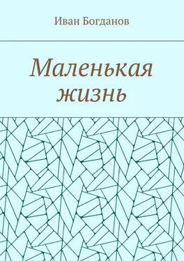 Иван Богданов Маленькая жизнь обложка книги