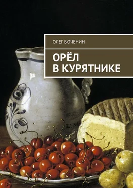 Олег Боченин Орёл в курятнике обложка книги