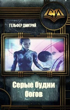 Дмитрий Гельфер Серые будни богов обложка книги