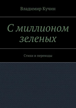 Владимир Кучин С миллионом зеленых. Стихи и переводы обложка книги