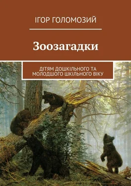 Ігор Голомозий Зоозагадки. Дітям дошкільного та молодшого шкільного віку обложка книги