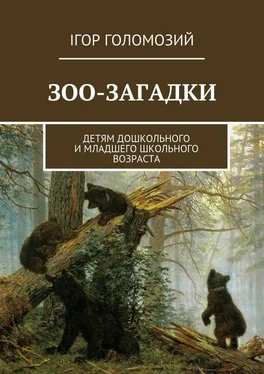 Ігор Голомозий Зоо-загадки. Детям дошкольного и младшего школьного возраста обложка книги