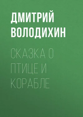 Дмитрий Володихин Сказка о птице и корабле обложка книги