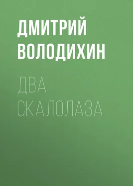 Дмитрий Володихин Два скалолаза обложка книги