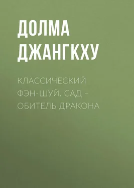 Долма Джангкху Классический фэн-шуй. Сад – обитель Дракона обложка книги