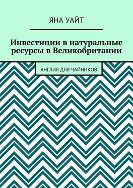 Яна Уайт Инвестиции в натуральные ресурсы в Великобритании обложка книги