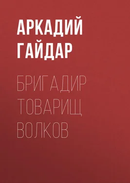 Аркадий Гайдар Бригадир товарищ Волков обложка книги