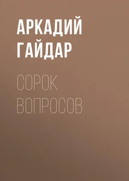 Аркадий Гайдар Сорок вопросов обложка книги