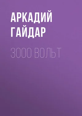 Аркадий Гайдар 3000 вольт обложка книги