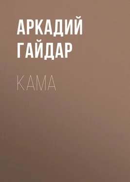 Аркадий Гайдар Кама обложка книги