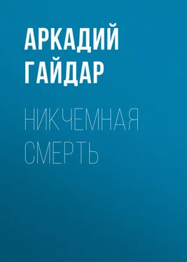 Аркадий Гайдар Никчемная смерть обложка книги