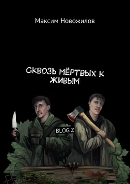 Максим Новожилов Сквозь мёртвых к живым. BLOG Z обложка книги