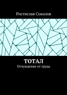 Ростислав Соколов Тотал. Отчуждение от труда обложка книги