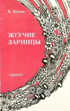 Борис Бурлак Жгучие зарницы обложка книги