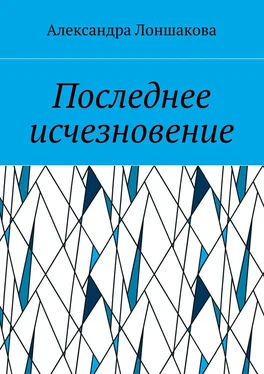 Александра Лоншакова Последнее исчезновение обложка книги