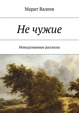 Марат Валеев Не чужие. Невыдуманные рассказы обложка книги