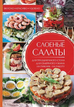 Александра Черкашина Слоеные салаты обложка книги