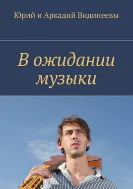 Юрий и Аркадий Видинеевы В ожидании музыки обложка книги