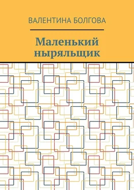 Валентина Болгова Маленький ныряльщик обложка книги