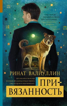 Ринат Валиуллин Привязанность обложка книги