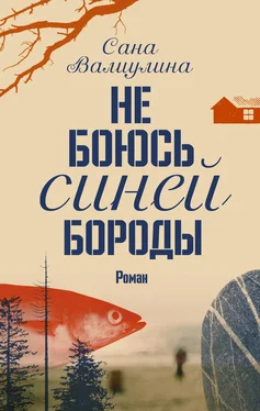 Сана Валиулина Не боюсь Синей Бороды обложка книги