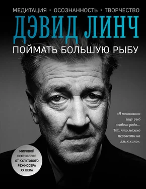 Дэвид Линч Поймать большую рыбу. Медитация, осознанность, творчество обложка книги