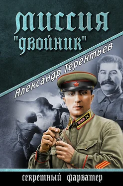 Александр Терентьев Миссия «Двойник» обложка книги