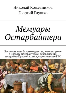 Николай Кожевников Мемуары Остарбайтера обложка книги