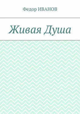 Федор Иванов Живая Душа обложка книги