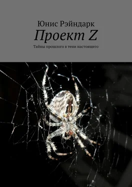 Юнис Рэйндарк Проект Z. Тайны прошлого в тени настоящего обложка книги