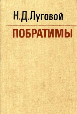 Николай Луговой Побратимы обложка книги