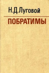 Николай Луговой - Побратимы